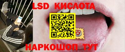 a pvp Краснознаменск
