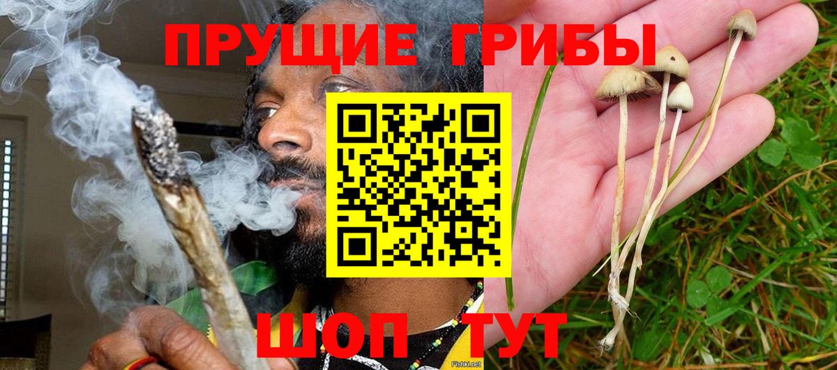 Псилоцибиновые грибы Magic Shrooms Губаха