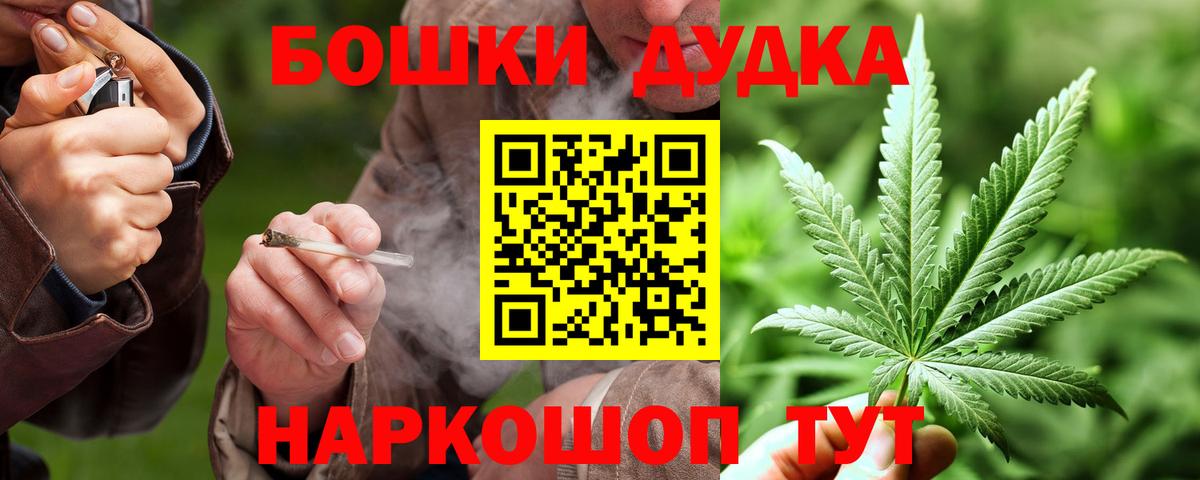 Конопля конопля Губаха